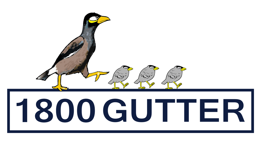 For bird proofing call 1800 GUTTER