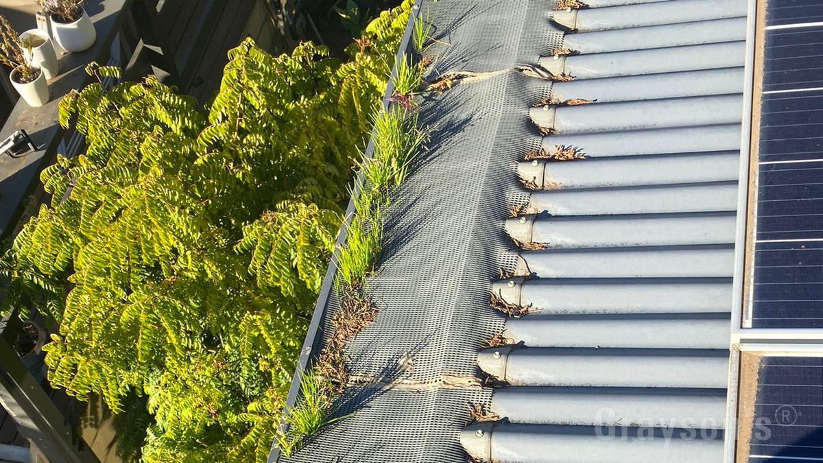 Do your gutter guards need replacing?
