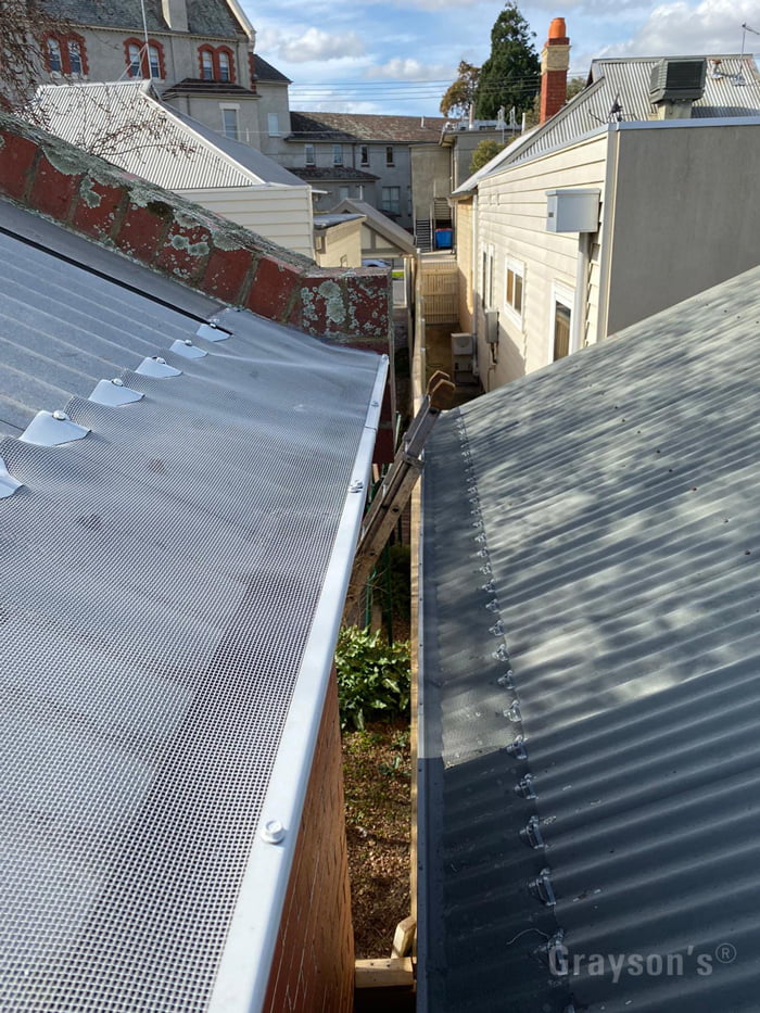 Gutter mesh installed on adjacent roofs