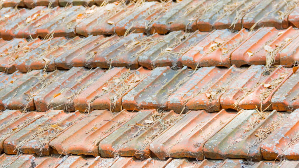 Pine needles on a tiled roof