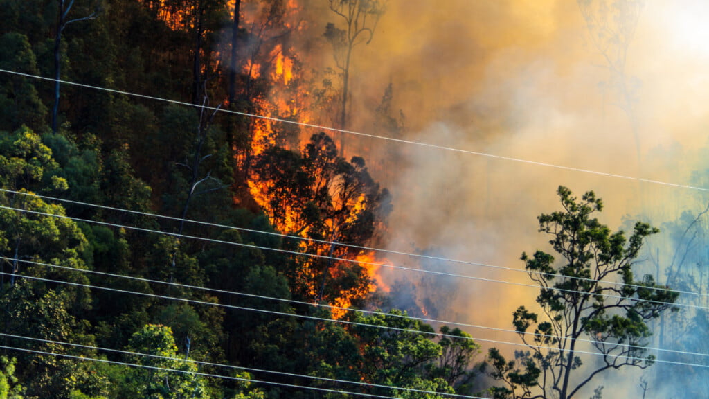 A bushfire burns near power lines
