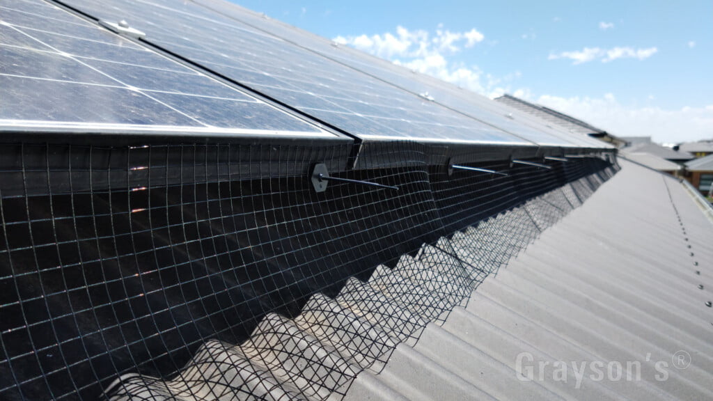 Protective mesh installed around solar panels.