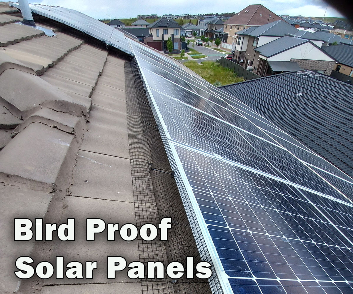 Bird Proof Solar Panel with Mesh Installed