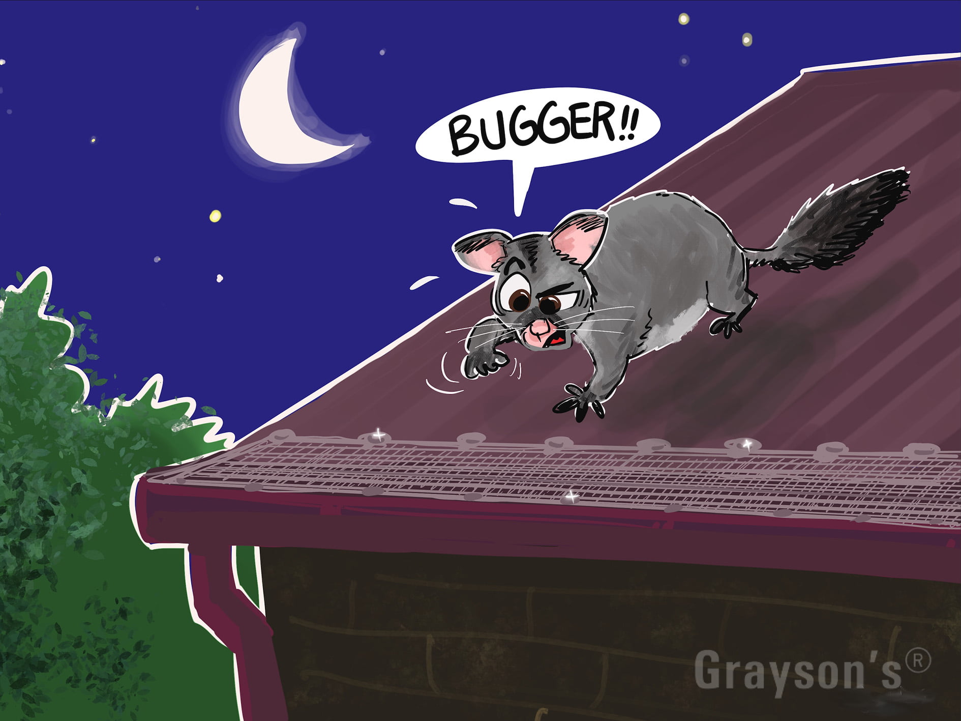 Cartoon mockup of a Brush-tailed Possum discovering that the gutters are now covered with gutter guards.