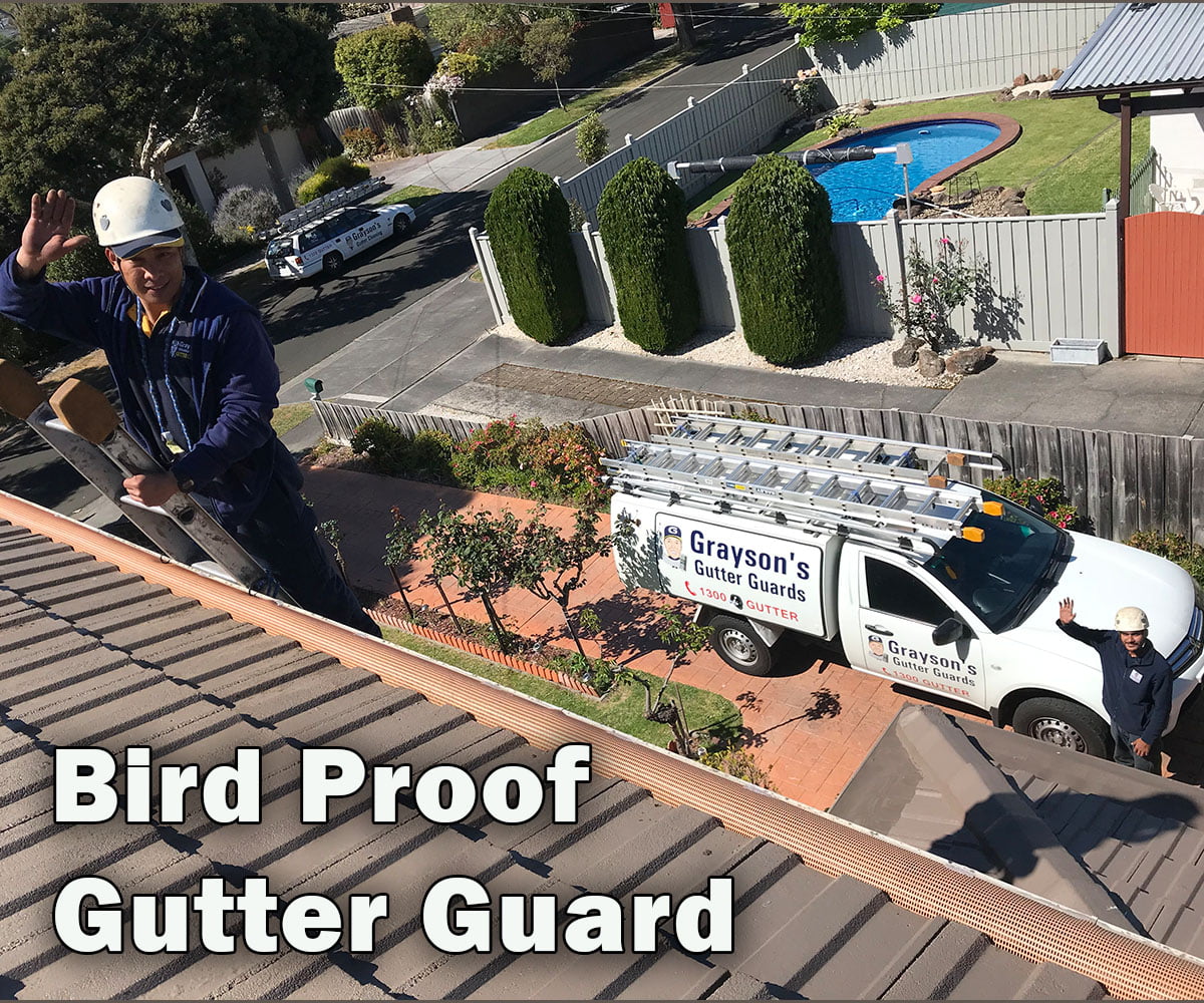 Bird proof gutter guards to stop birds in roof